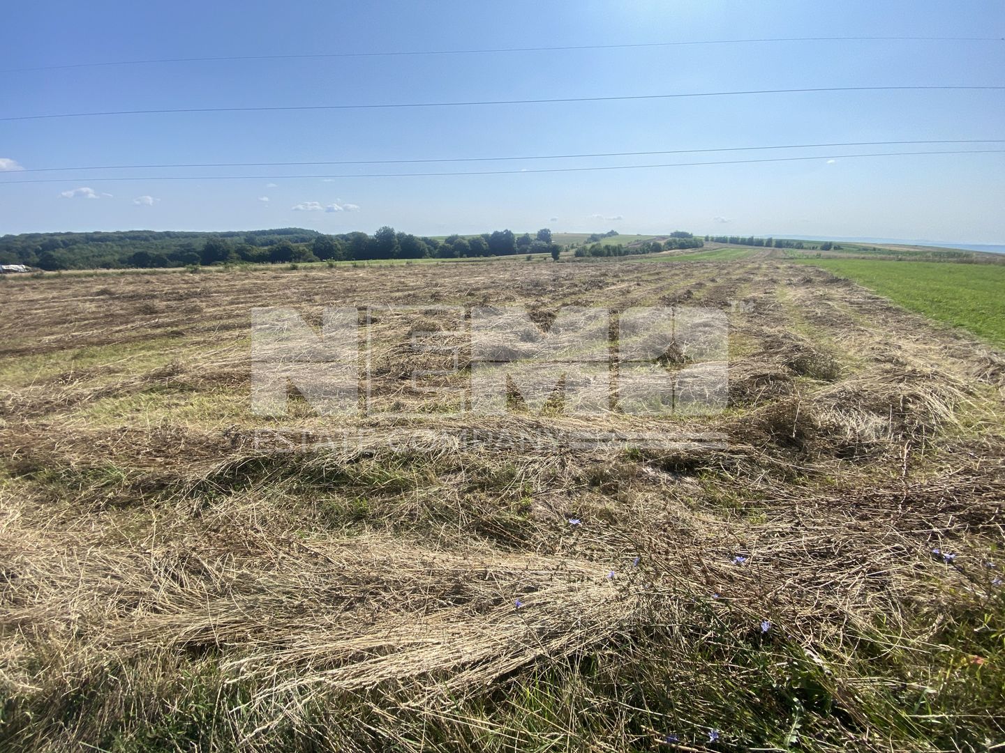 Teren Tarinca | 3400 MP | Front 24 Metri - Poză 2