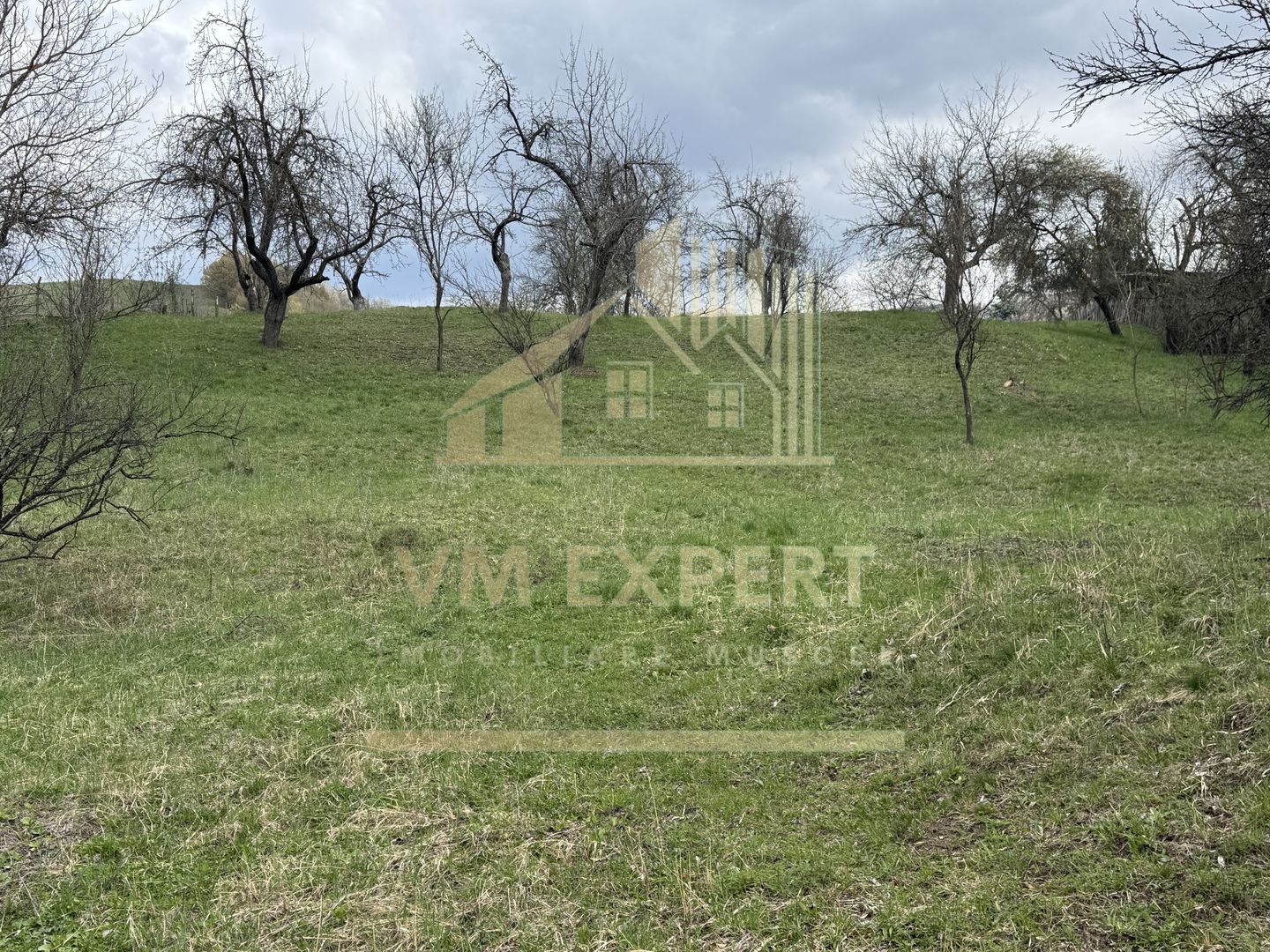 TEREN INTRAVILAN 4365 MP POENARII DE MUȘCEL  JUDEȚUL ARGES - Poză 28