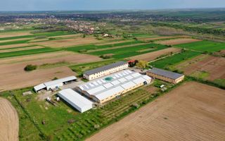 HALE INDUSTRIALE & PLATFORME BETONATE & TEREN INTRAVILAN 23500MP CRAIOVA - Poză 8