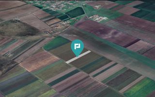 Teren extravilan de 14.500 mp în Caporal Alexa - Poză 2