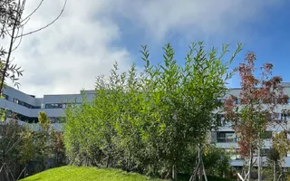 Apartament 4 camere Sector 1 Zona Mall Colosseum - Poză 23