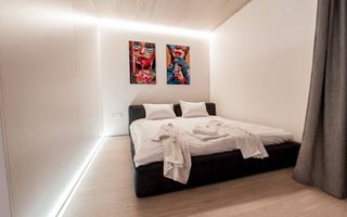 Chirie, apartament 1 cameră, strada Alexandru Bernardazzi, Centru - Poză 9