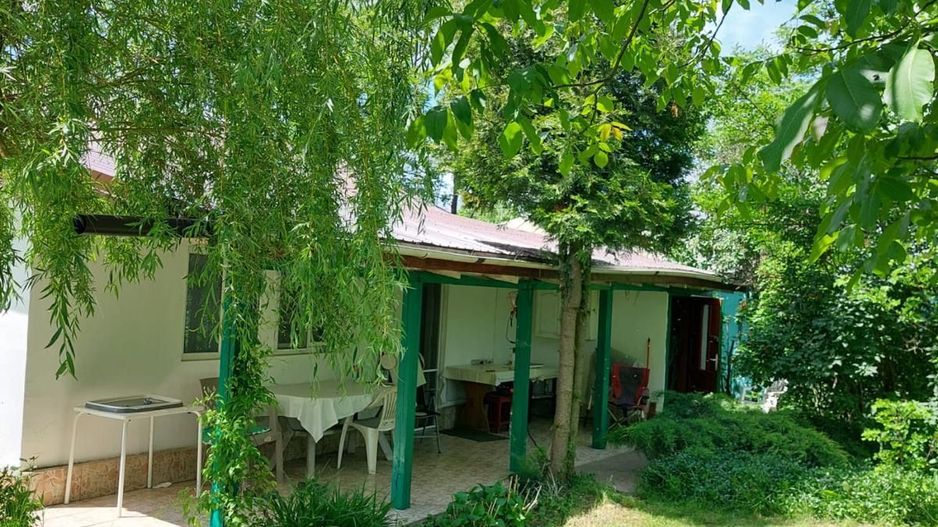 Casa 3 camere Parter Giurgiu Com Bucsani - Poză 2