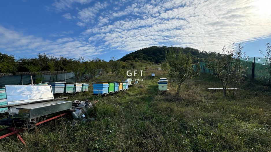 Teren de vanzare, Valea Ghinzii, parcele de 5-6 ari - Poză 4