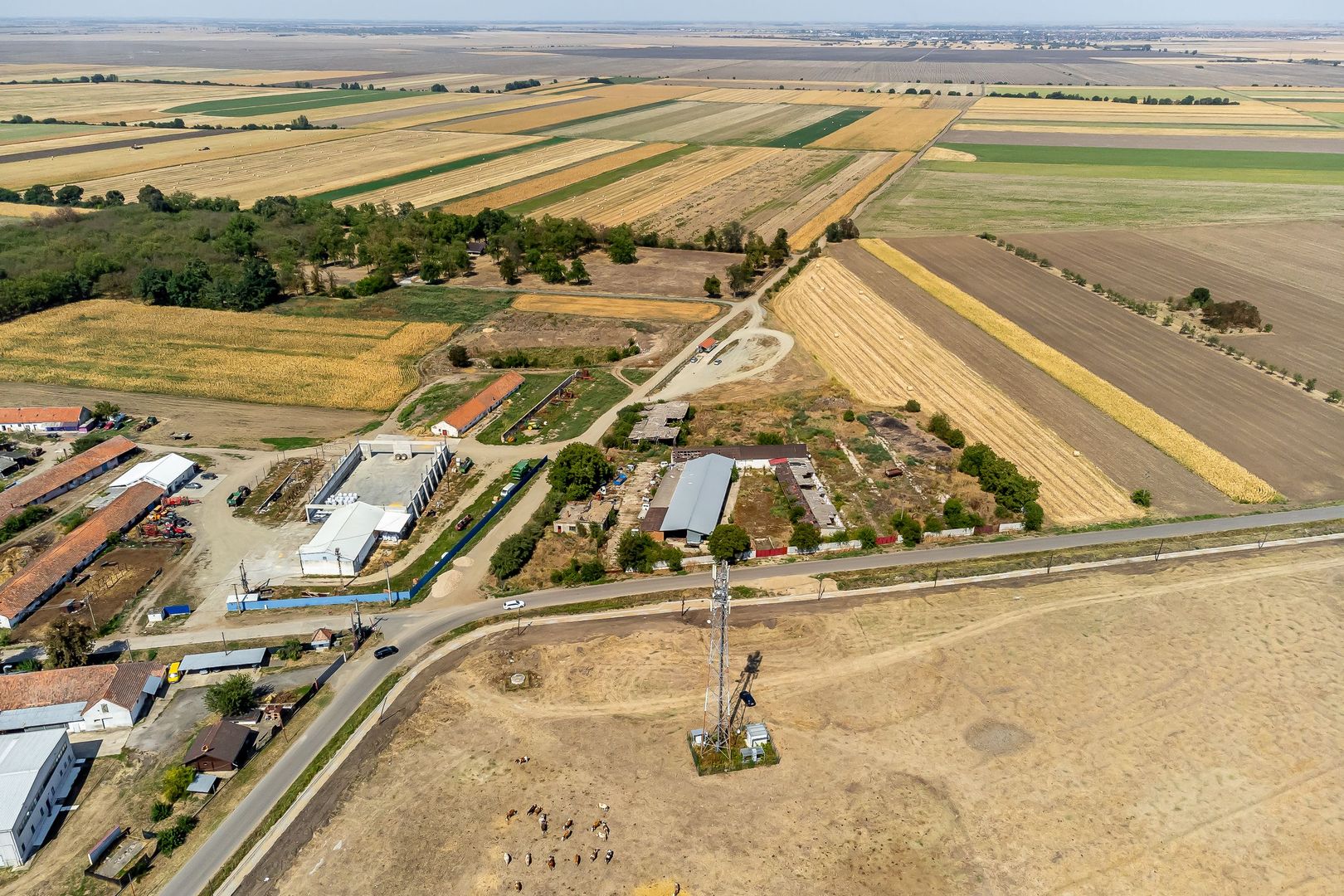 Vânzare teren în Sofronea, Arad - 9508 mp, dezvoltări imobiliare - Poză 8