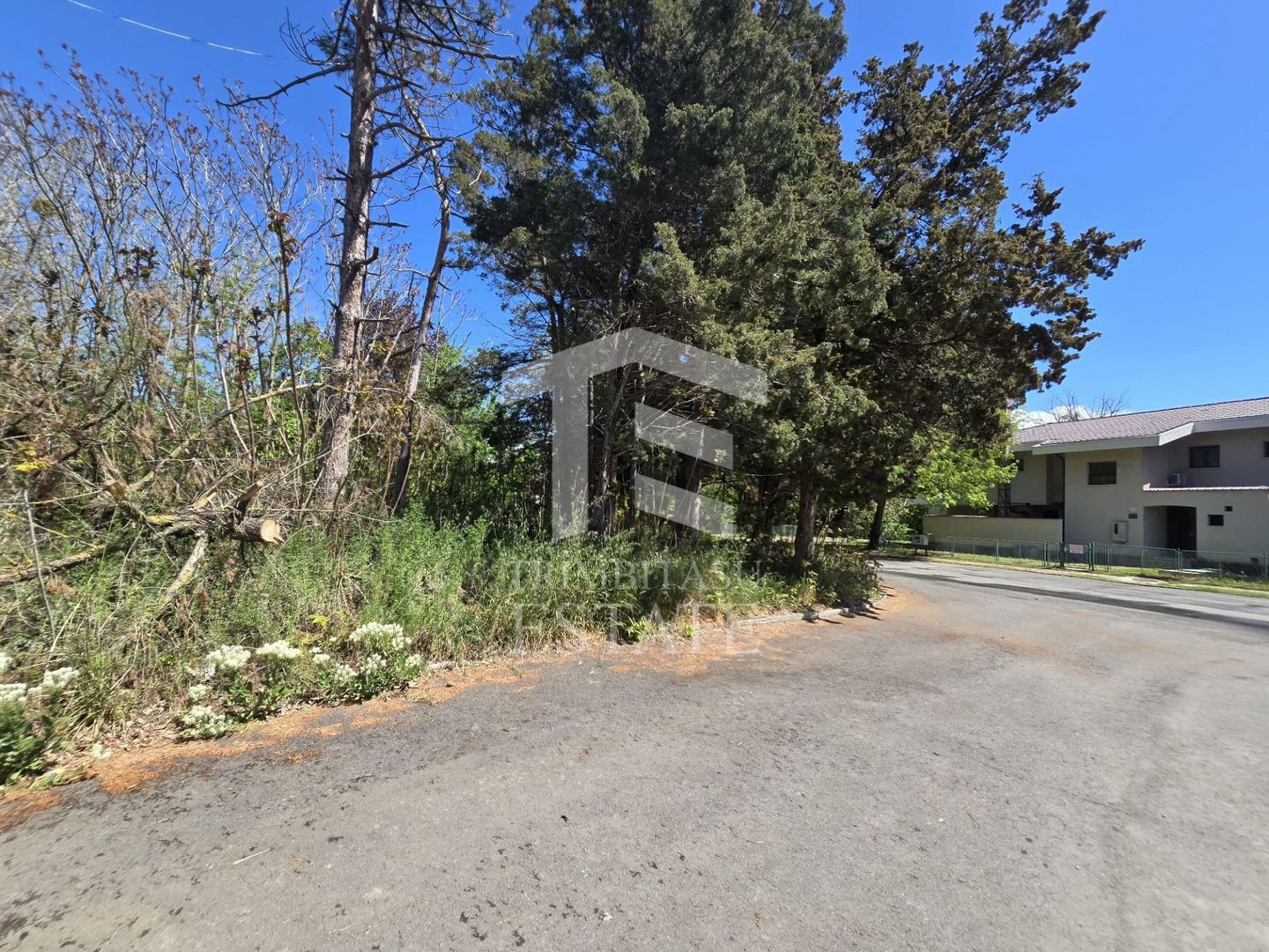 🏖 Teren de vanzare in Neptun – O oportunitate rara de investitie. - Poză 15