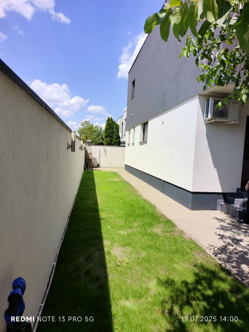 Padurea Craiului - Poză 5