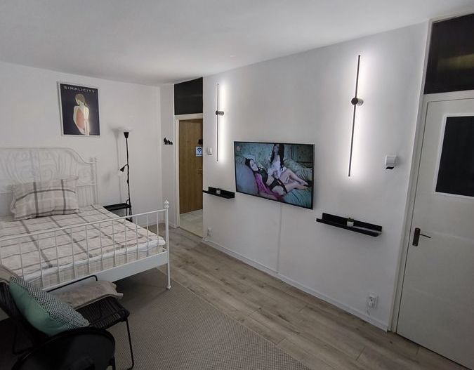 Garsoniera Oltenitei - Poză 1