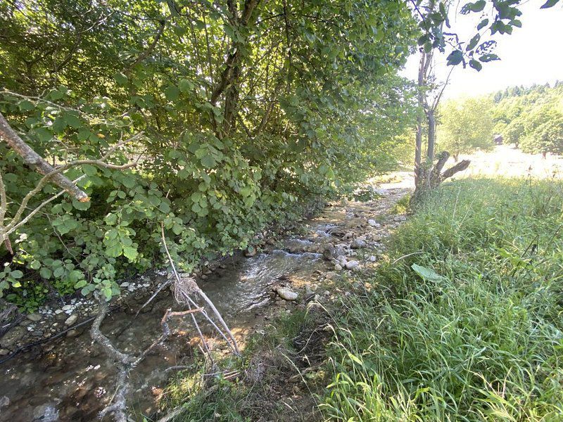 Teren extravilan de vânzare în Râșnov | 6.070 mp | Vedere panoramică - Poză 11