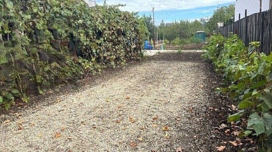 Teren de vanzare | Mogosoaia | 1252 mp - Poză 4