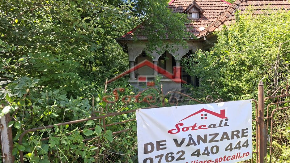 Teren generos în Cornu de Jos – 3.470 mp, deschidere 36,88 ml - Poză 1