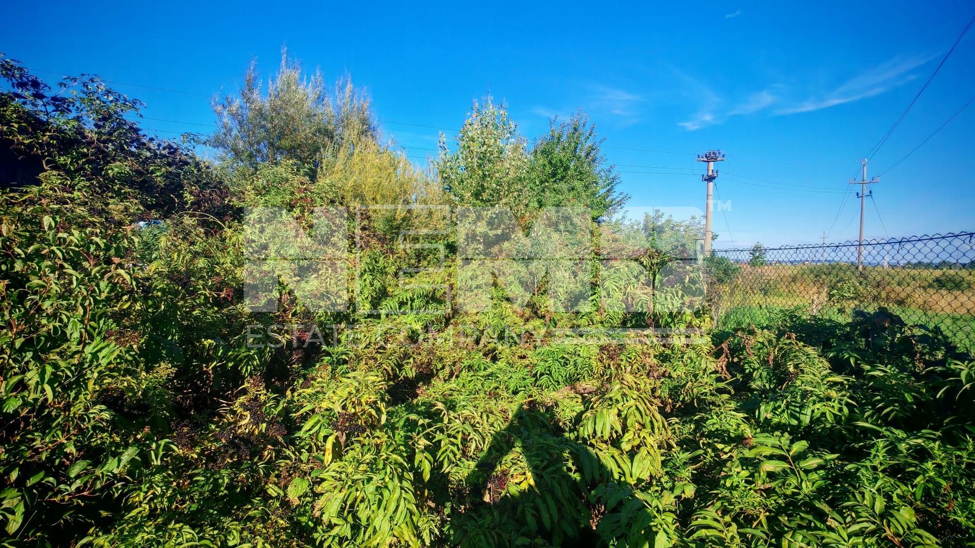 Teren intravilan | 25 ari | Front stradal 20 m | Rădăuți - Poză 6