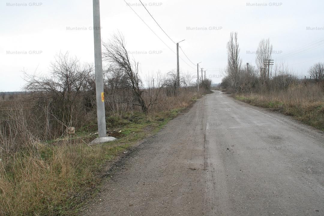 OTOPENI - Str. Drumul Garii Balotesti, 42100 mp. teren in zona construibila - Poză 3