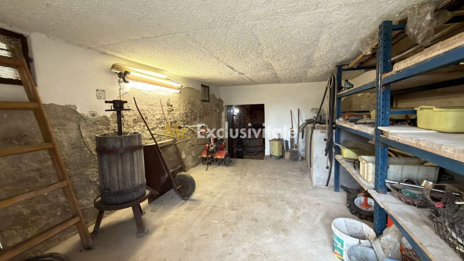 De vânzare 2 Case de vinificație cu Teren 4108 mp - Grădina Viilor - Carei - Poză 8