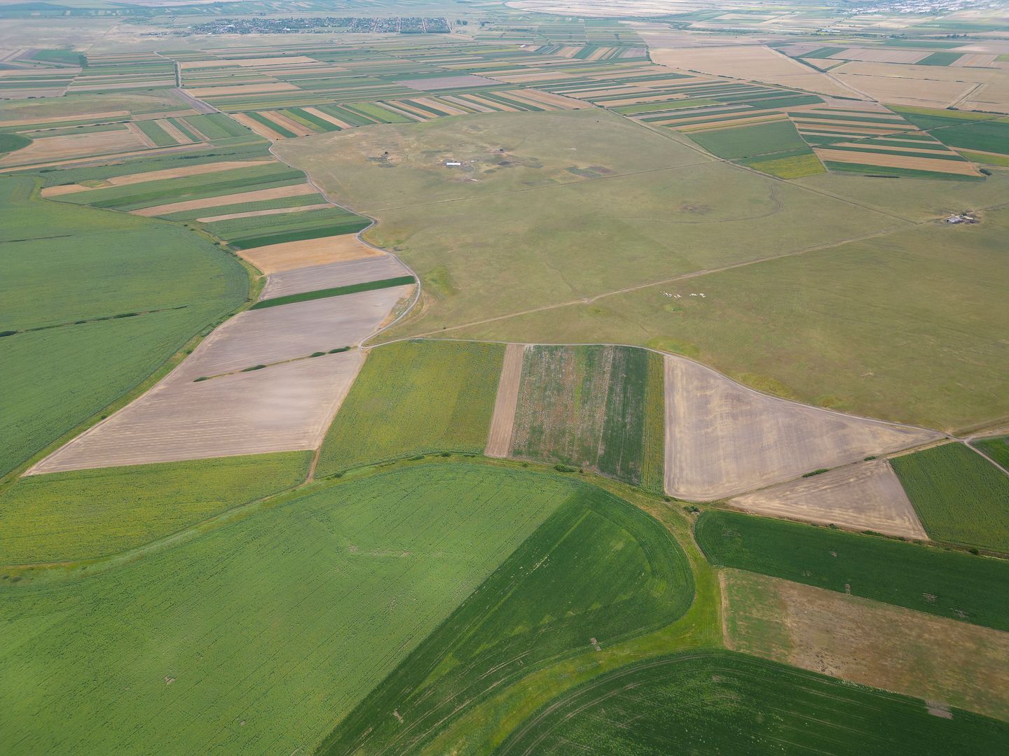 Teren arabil de 1299 hectare în Iași - Poză 3