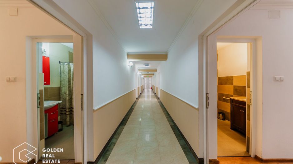 Proprietate pretabila pentru afacere, Cladova - Poză 6