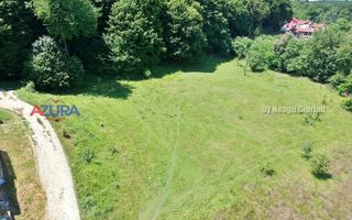 Vanzare teren 904 mp, Bascov, langa padure - Poză 6