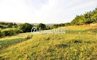 Teren Intravilan,5.000mp cu utilităti si proiect casă 12e mp - Poză 4
