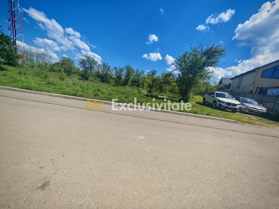 Teren central 2000 mp intravilan Mioveni - Poză 6