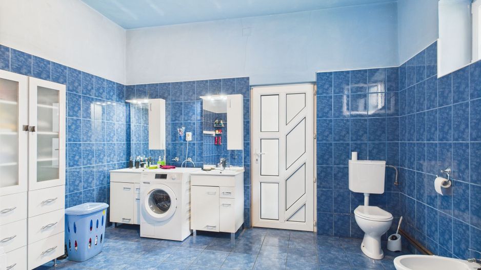 Casă individuală cu teren,  Andrei Șaguna -Traian - Poză 22