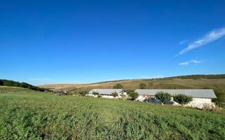 Ferma de vanzare cu 550MP utili si 27.500MP teren la asfalt - Poză 30