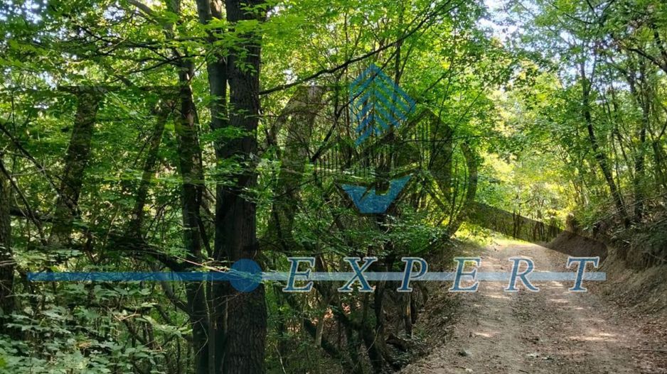 Vand teren in Poiana Ampoiului comuna Metes jud. Alba - Poză 1