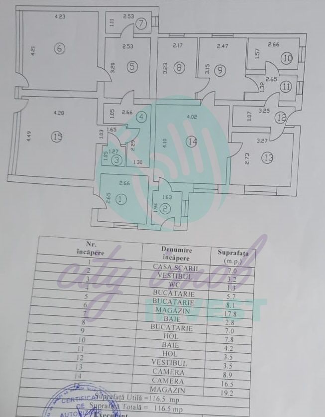 Vilă interbelică  în Aviatorilor - Poză 6