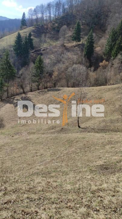 Teren 5000 mp, ideal cabana, pensiune,  in zona de interes  turistic  Rucar-Bran - Poză 2