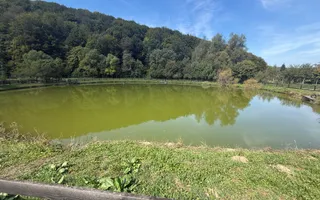 Complex Turistic activ,  2 lacuri ,teren 16800 mp -zona Valea Dobârlău - Poză 18