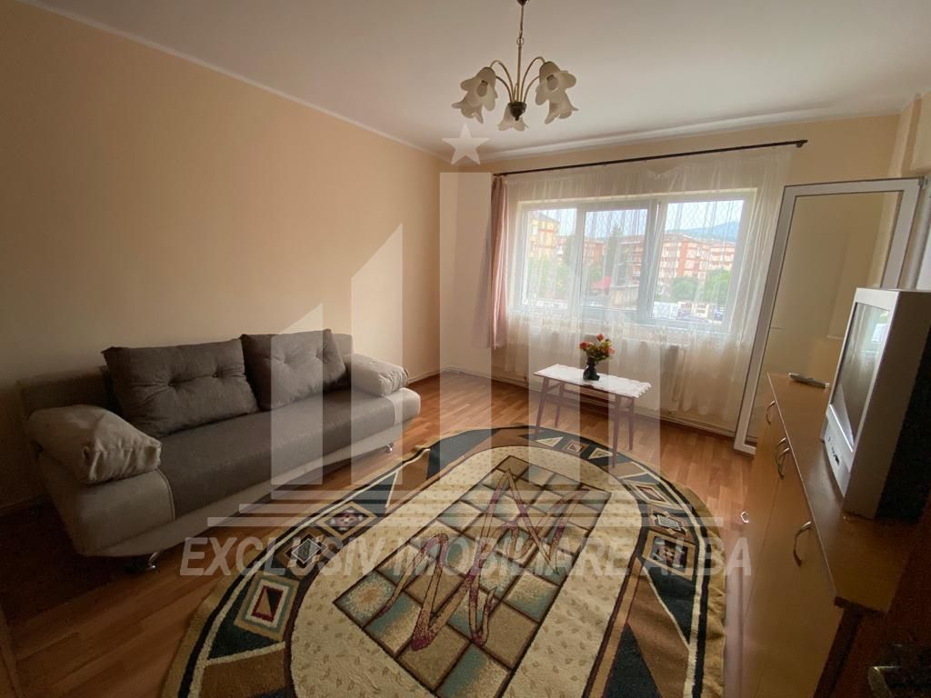 Apartament cu o camera in Cetate - Poză 2