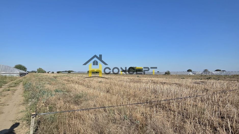 Teren 7 euro mp str asfaltata langa padure Colibasi Campurelu - Poză 6