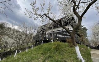 Casa de vacanta**Panorama spectaculoasa//Provita de Jos_Prahova - Poză 3