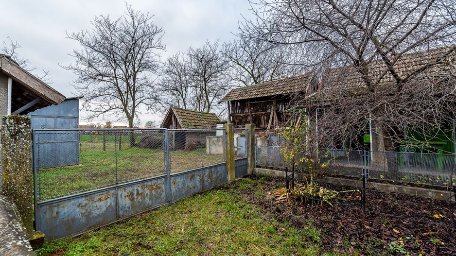 Casă + livadă tânără + curte 2.500 mp în Dorobanți - Poză 12