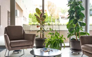 Apartament 2 camere de inchiriat | City Center Resita | 70 mp utili | etaj 5 | balcon generos | - Poză 13