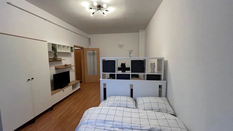 VANZARE APARTAMENT 1 CAMERA ZONA IRIS - Poză 4