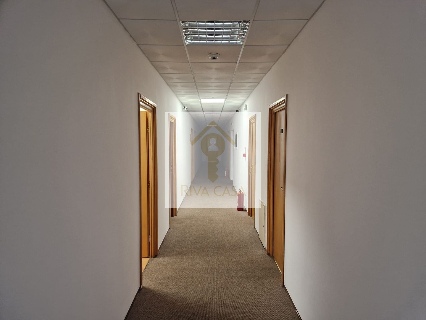 PROPRIETATE INVESTIȚIONALĂ PREMIUM – HOTEL OPERAȚIONAL LÂNGĂ VAMA BORȘ - Poză 14