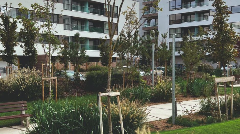 Apartament 3 camere - Poză 2