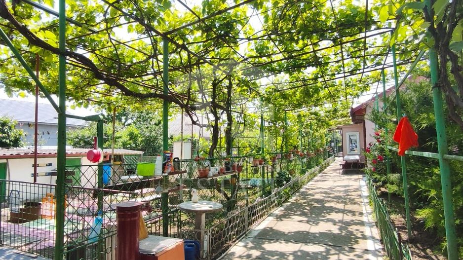 CASA  POIANA | PANOURI SOLARE | TEREN 800 MP - Poză 7