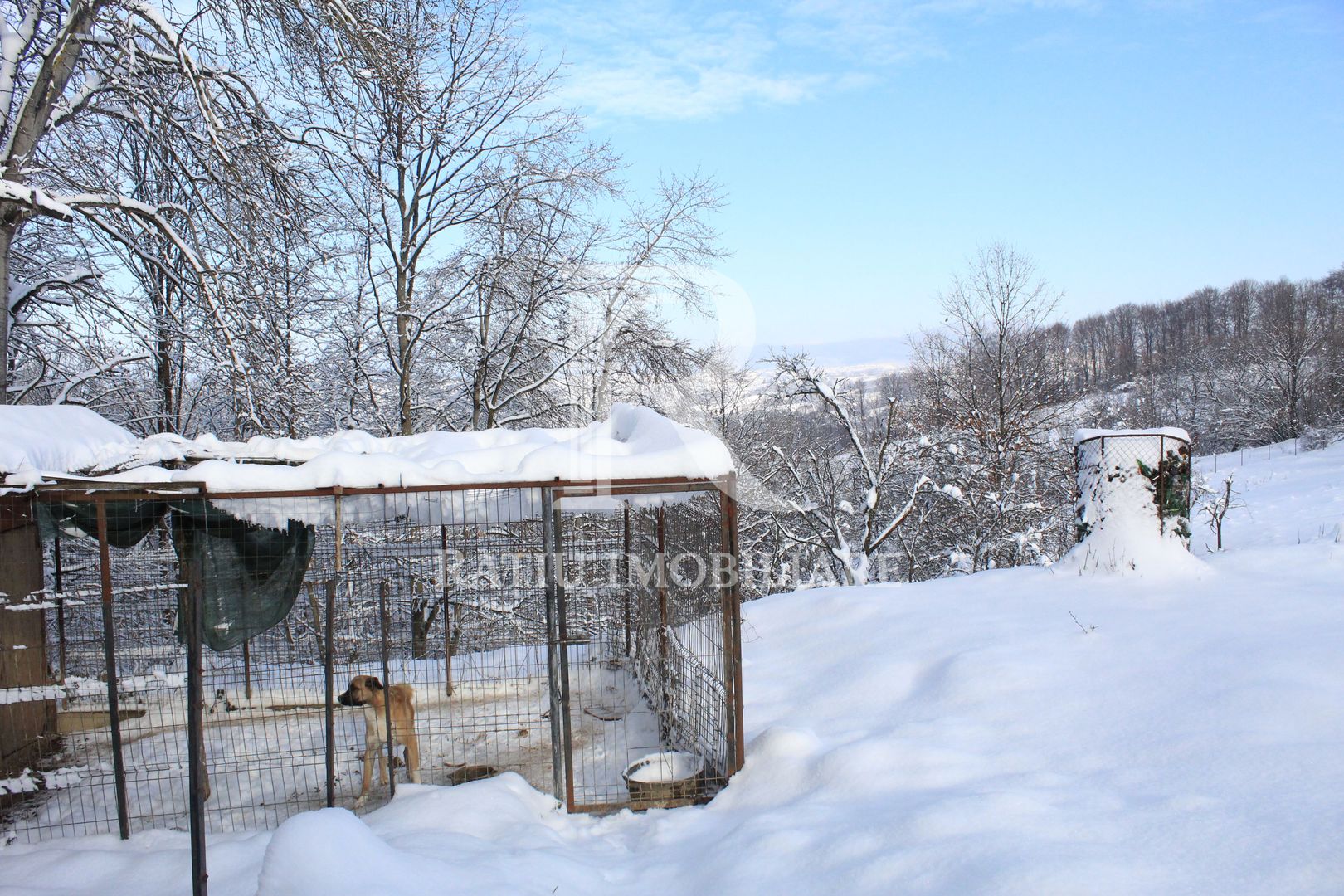 Proprietate rară | 4458 mp teren intravilan | Casă solidă, natură, liniște totală. | Bratca, Bihor. - Poză 54