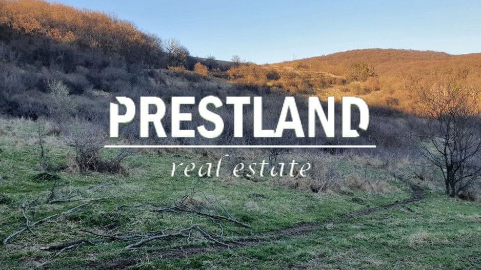 Teren 46.300 mp-zona Gușterița!! - Poză 7