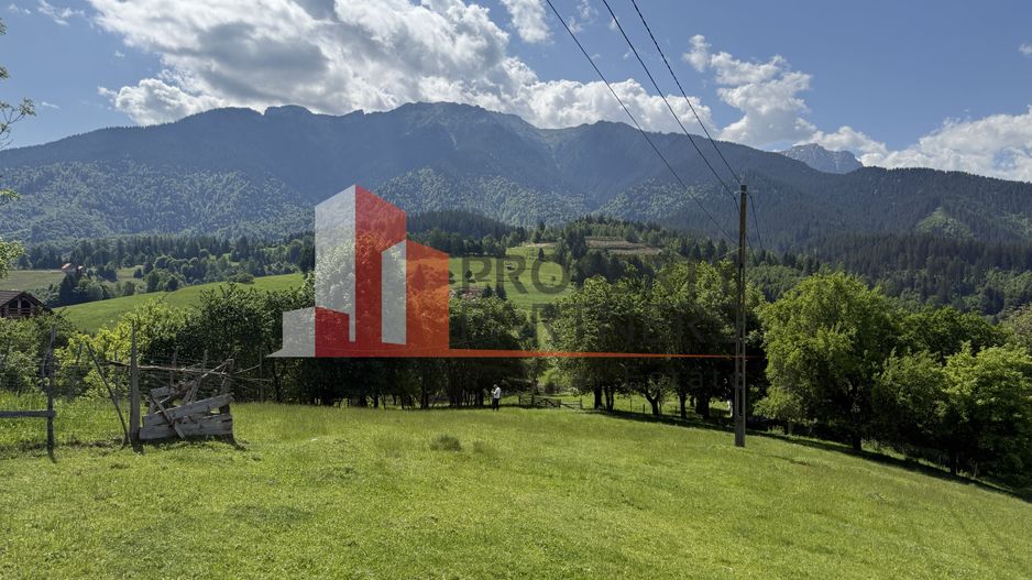 Teren cu priveliște spectaculoasă în Bran – Sohodol - Poză 8