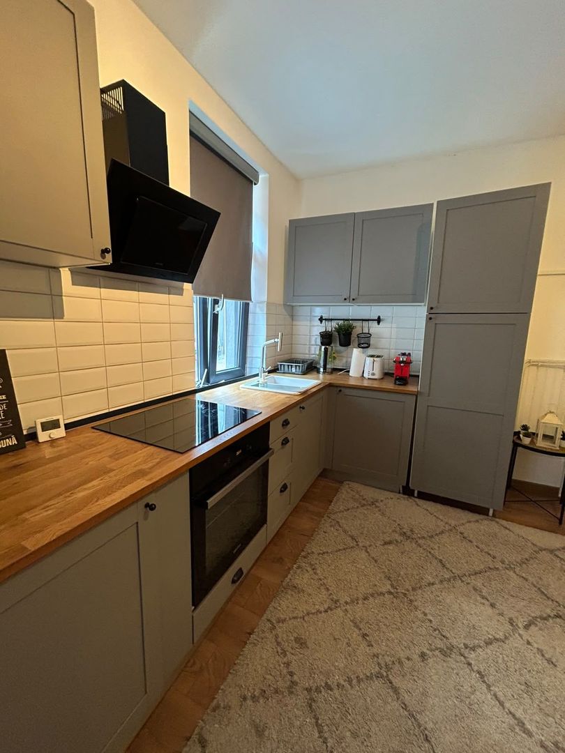 APARTAMENT 2 CAMERE OPENSPACE PARCUL CAROL - TINERETULUI - Poză 6