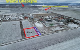 Teren extravilan Sfântu Gheorghe 2.979 m² - Poză 1
