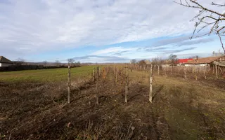 Casa si teren 3365mp Sascut - Poză 28