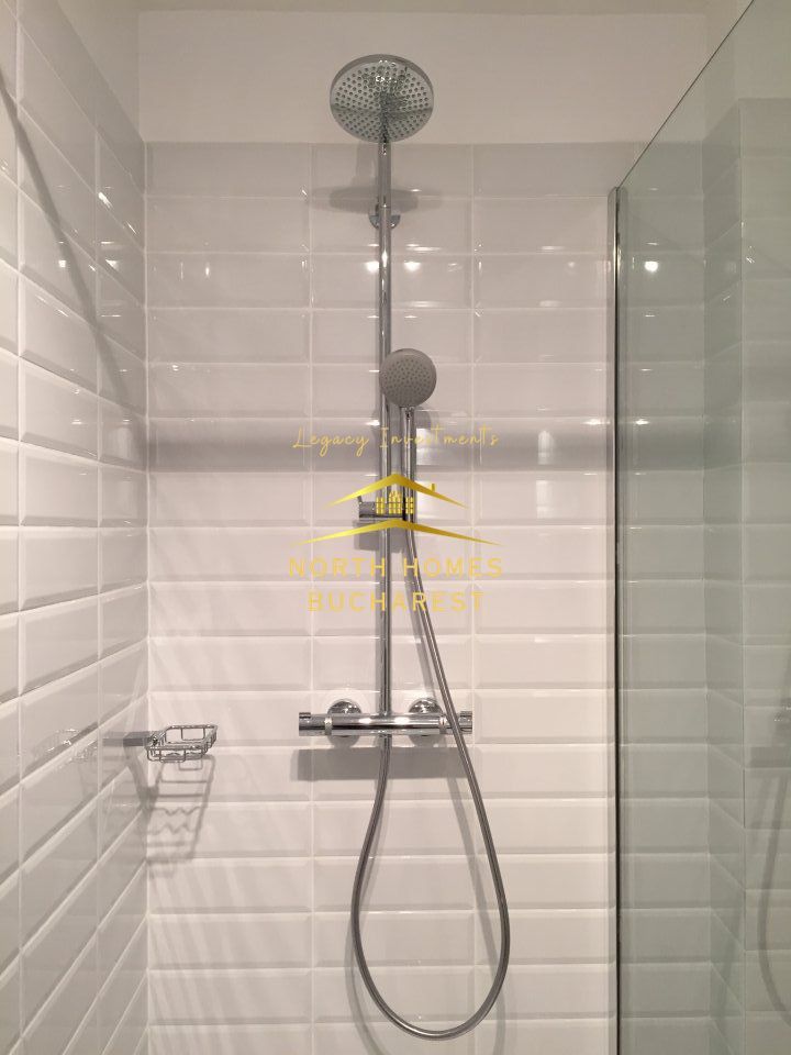 Apartament tip duplex in zona Capitale,  221mp: parter + demisol - Poză 11