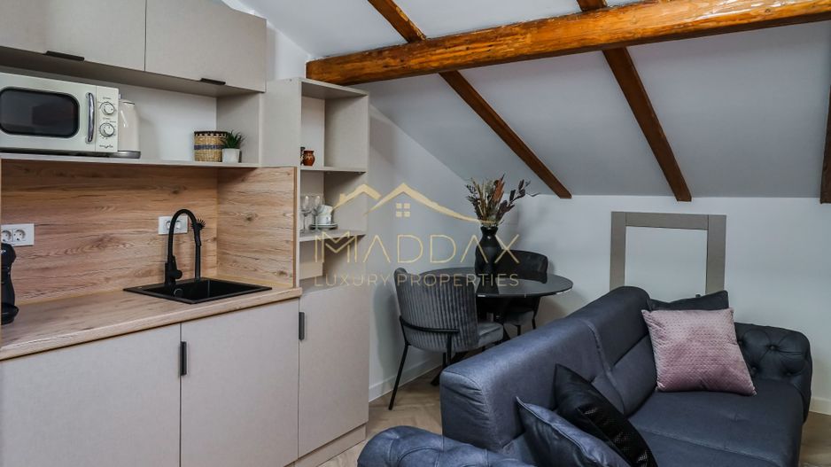 Proprietate ideala pentru investitie *354mp* inchiriata pe 6 ani // Cismigiu - Poză 99