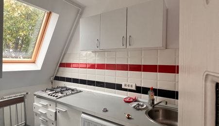 Apart Hotel VILA P+2E+ MANSARDA ,  7 garsoniere,  apartamante cu  2 camere si 3.