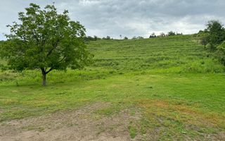 Teren intravilan Oradea str. Calea Adevărului - Poză 3