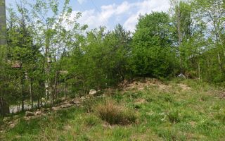 Teren Extravilan situat la intersectia DN1 cu Transfagarasan - Poză 5