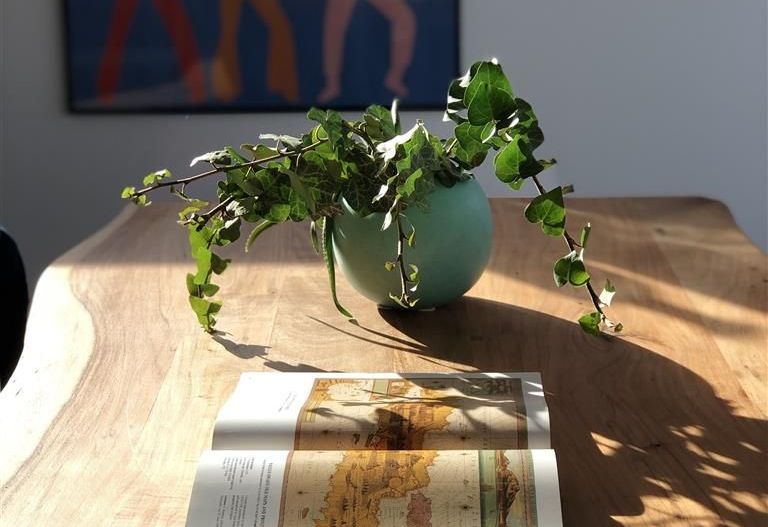 Vile langa padure | 5 camere | Baneasa | Casa Showroom - Poză 9